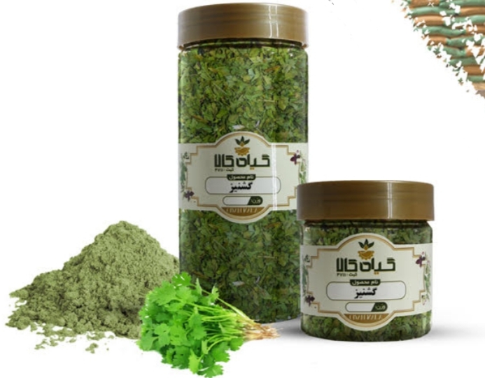 خرید تضمینی گشنیز خشک با کیفیت صادراتی