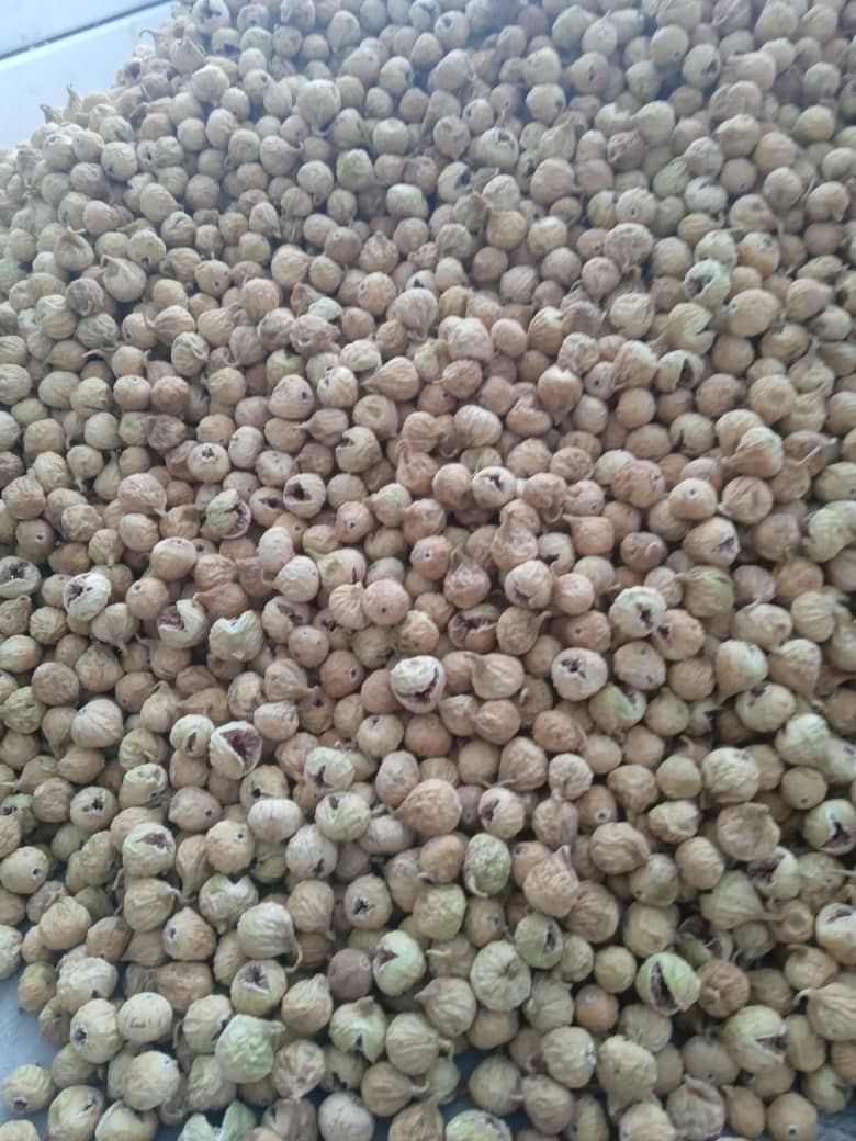 تصویر 2 از فروش انجیر خشک درجه یک استهبان خرداد ۱۴۰۴ + قیمت خرید
