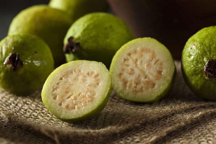 تصویر 4 از فروش عمده گواوا (زیتون پاکستانی) بلوچستان + ارسال مستقیم از مزرعه