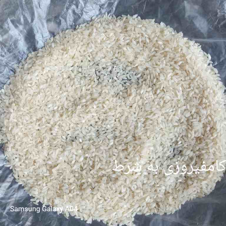تصویر 2 از برنج کامفیروزی اصل + خرید ارزان
