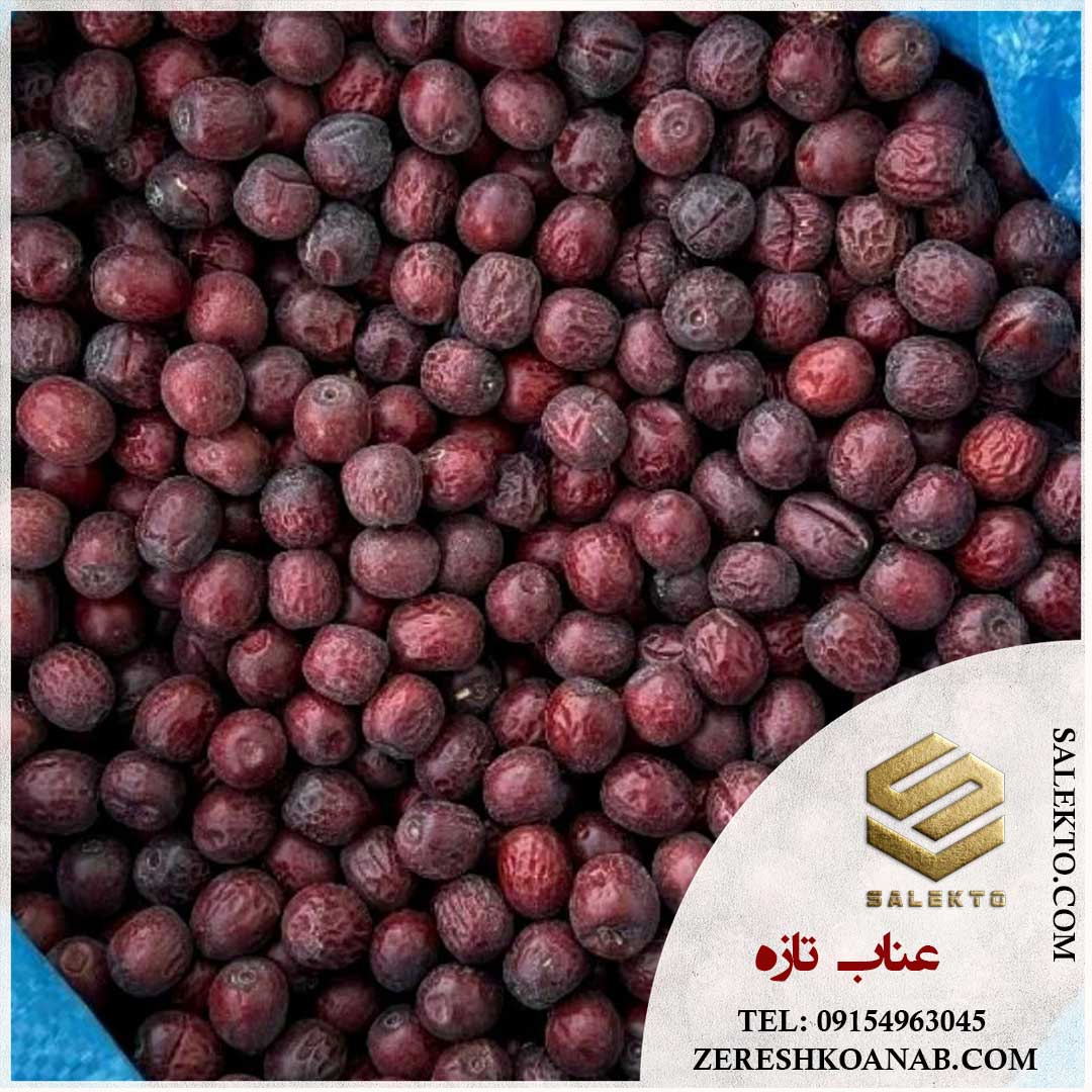 تصویر 2 از عناب خشک قاینات با طعمی بی‌ نظیر + قیمت مقرون‌ به‌ صرفه و خرید عمده