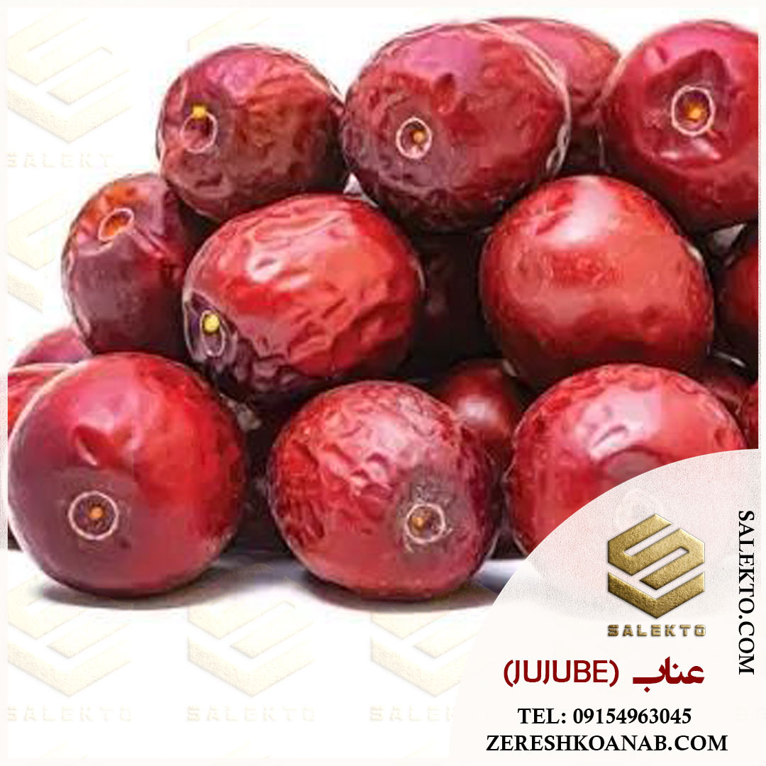 تصویر 5 از عناب خشک بیرجند با طعم شیرین و خواص بی‌ نظیر + خرید عمده با قیمت رقابتی