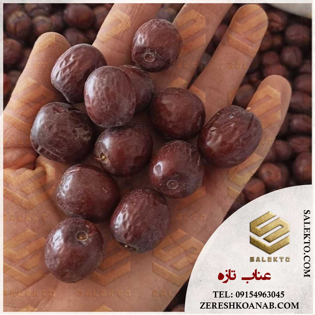 تصویر 1 از عناب خشک بیرجند با خواص دارویی + خرید عمده با قیمت شگفت‌ انگیز