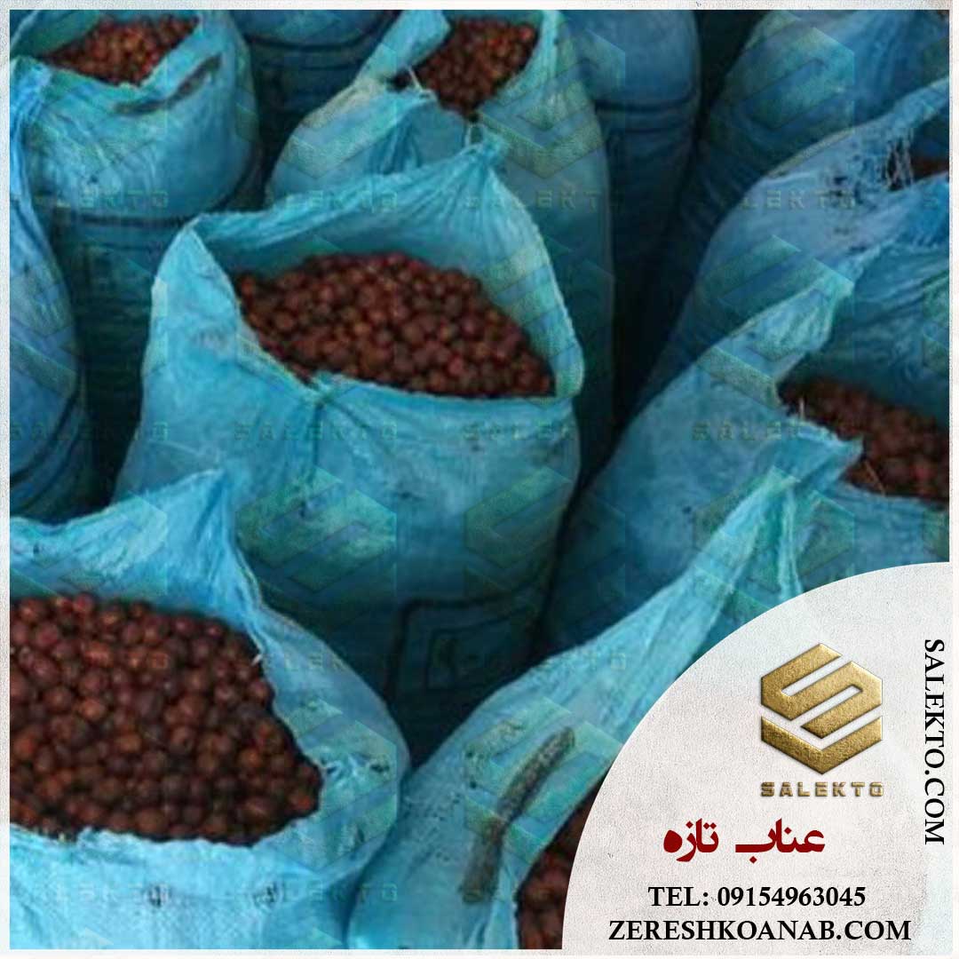 تصویر 2 از عناب خشک قاین با طعمی شیرین و ترد + خرید مستقیم از کشاورز با قیمت ویژه