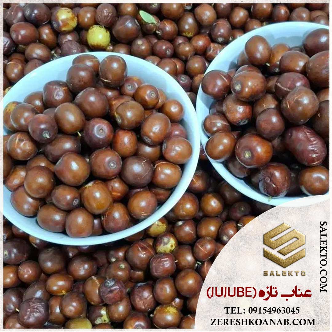 تصویر 2 از عناب تازه خراسان جنوبی با طعم تازه و عطر طبیعی + خرید ارزان و قیمت ویژه