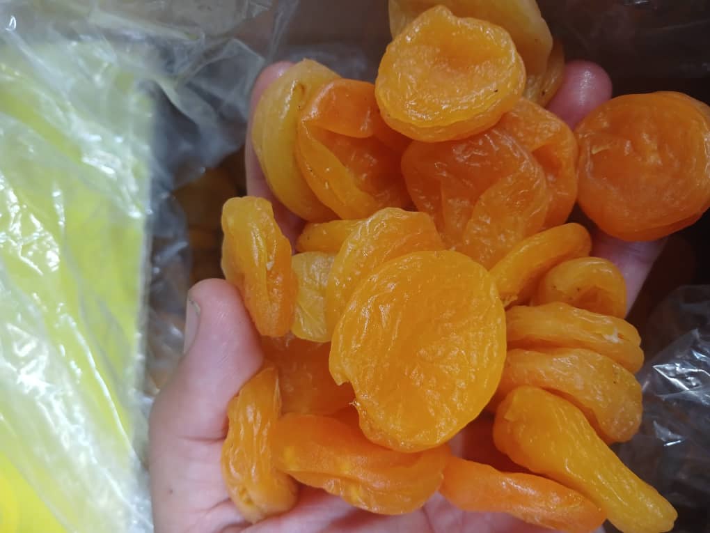 تصویر 1 از قیمت قیسی زردآلو مرغوب