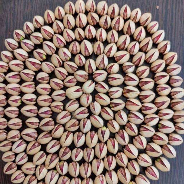 تصویر 4 از فروش پسته کله قوچی تازه + قیمت خرید به صرفه