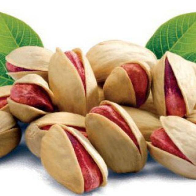 تصویر 1 از فروش عمده پسته اکبری لوکس سایز درشت طعم بی‌ نظیر صادراتی