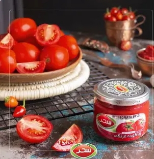 تصویر 3 از رب گوجه‌ فرنگی شیلانه 400 گرمی + معجون طماطم
