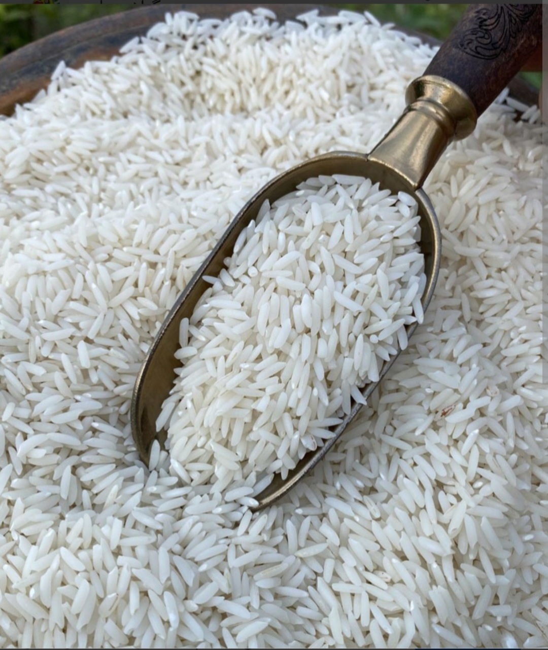 تصویر 1 از قیمت خرید برنج طارم هاشمی معطر و با کیفیت