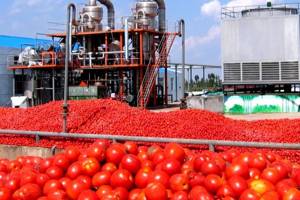 تصویر 2 از صادرات رب گوجه طلای قرمز ایرانی