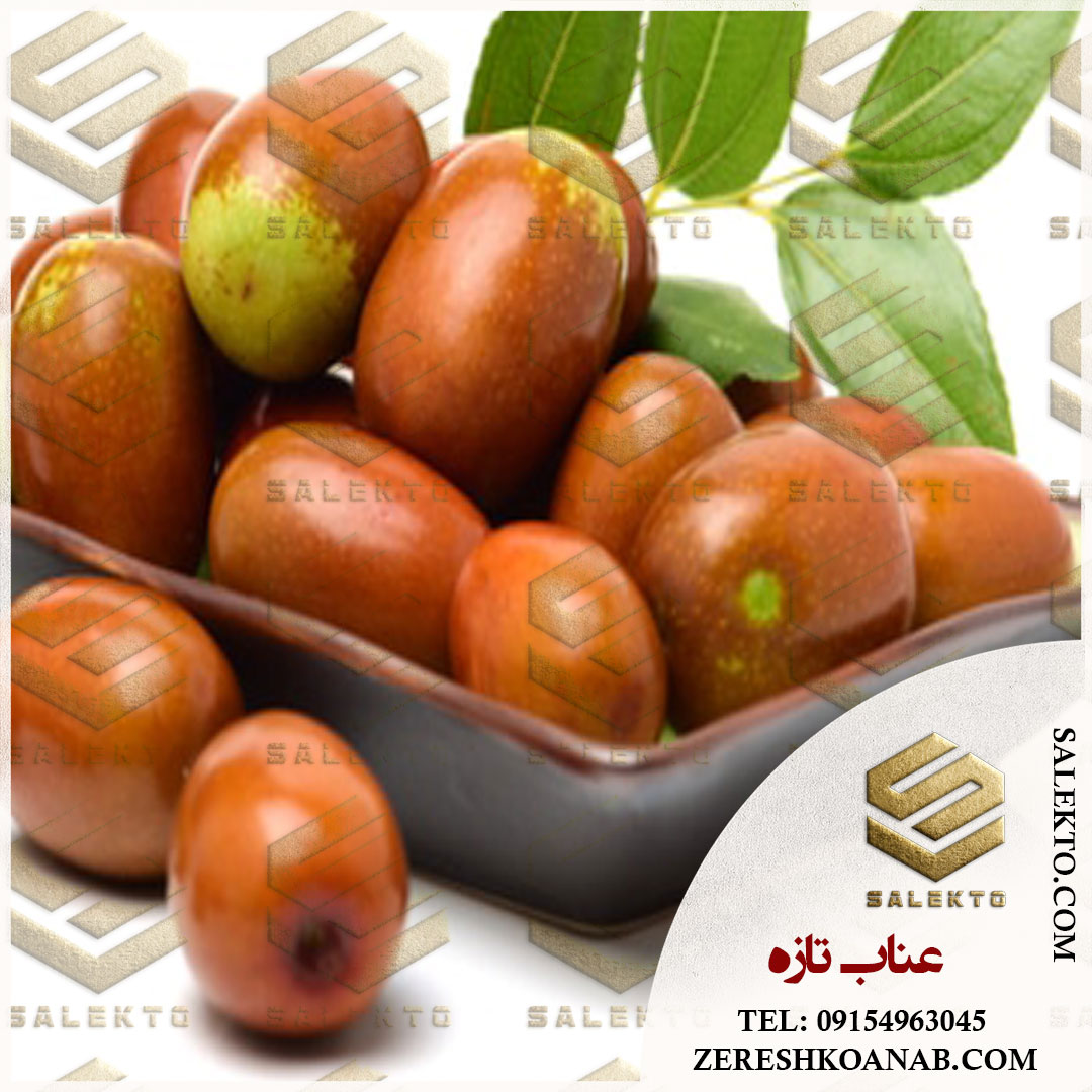 تصویر 2 از عناب تازه قاینات با طعم و کیفیت ممتاز + خرید به‌ صرفه و قیمت رقابتی