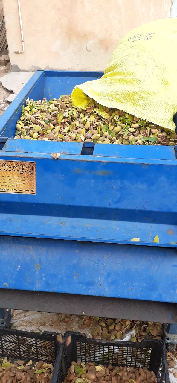 تصویر 2 از بادام مامایی تازه شهر خشکرود