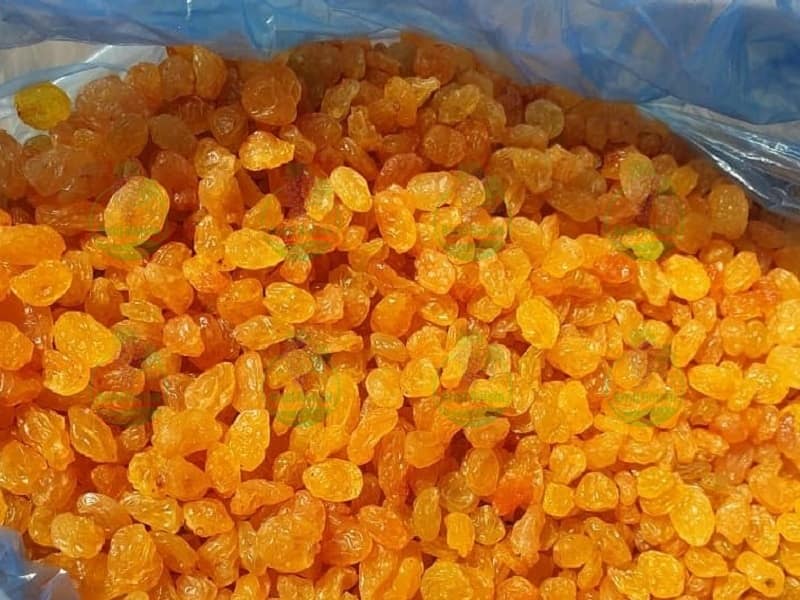 تصویر 3 از قیمت کشمش تازه سال ۱۴۰۳