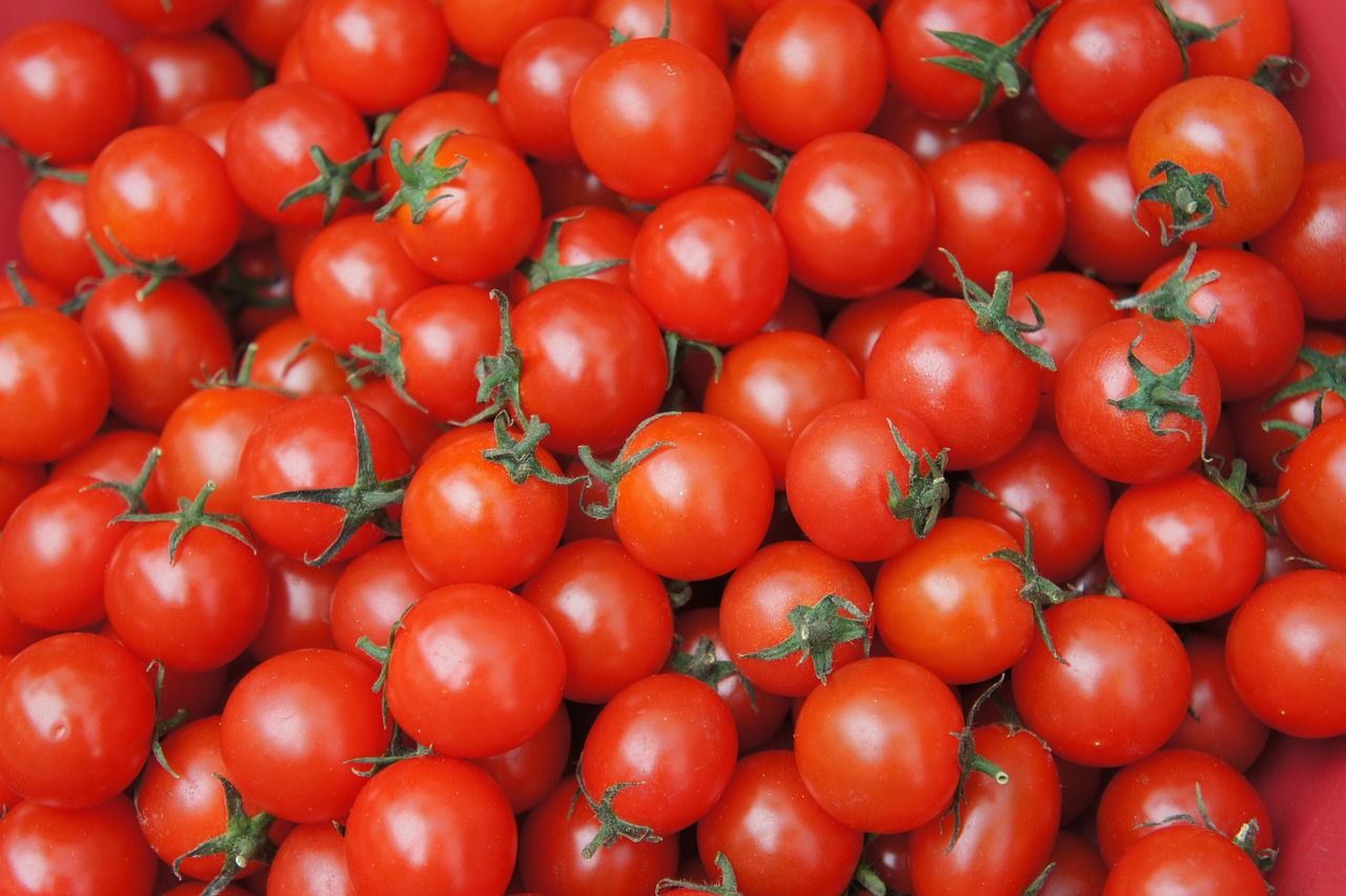 تصویر 1 از قیمت رب گوجه با بسته‌ بندی فله‌ ای