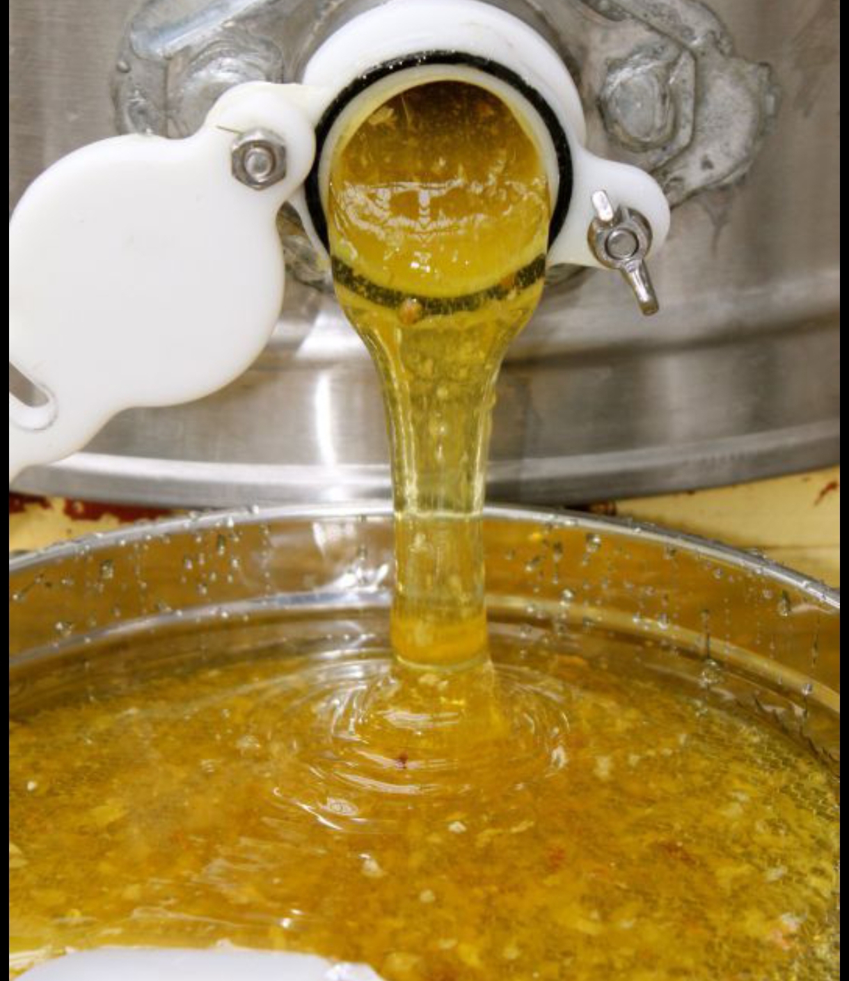 تصویر 1 از قیمت عسل یونجه شیشه 410 گرمی + فروش عمده