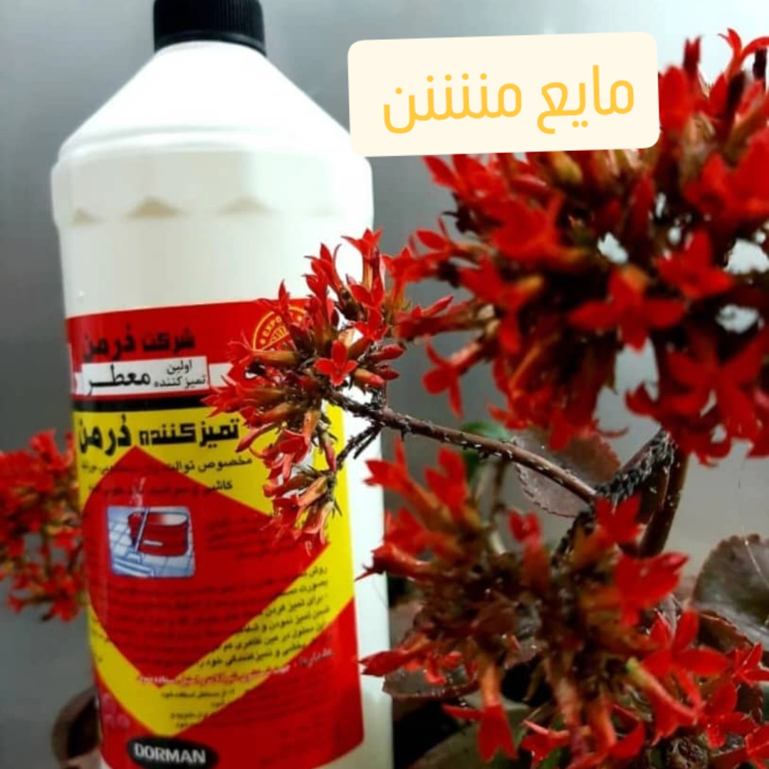 تصویر 3 از انواع مواد شوینده درجه یک