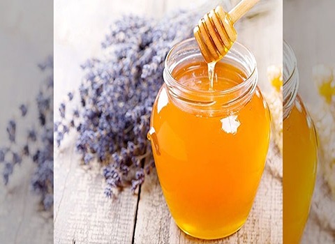 تصویر 3 از خرید + عسل اسطوخودوس کوهی