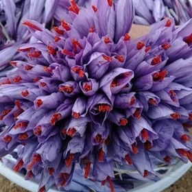 تصویر 5 از زعفران نگین خراسان + قیمت خرید