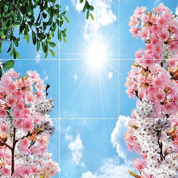 آسمان مجازی شیشه ای خرید