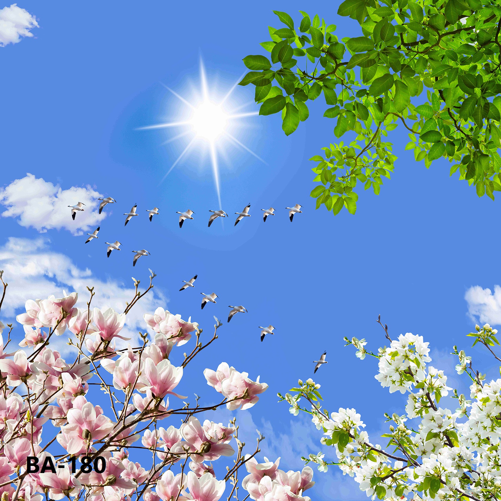 آسمان مجازی دکوراتیو