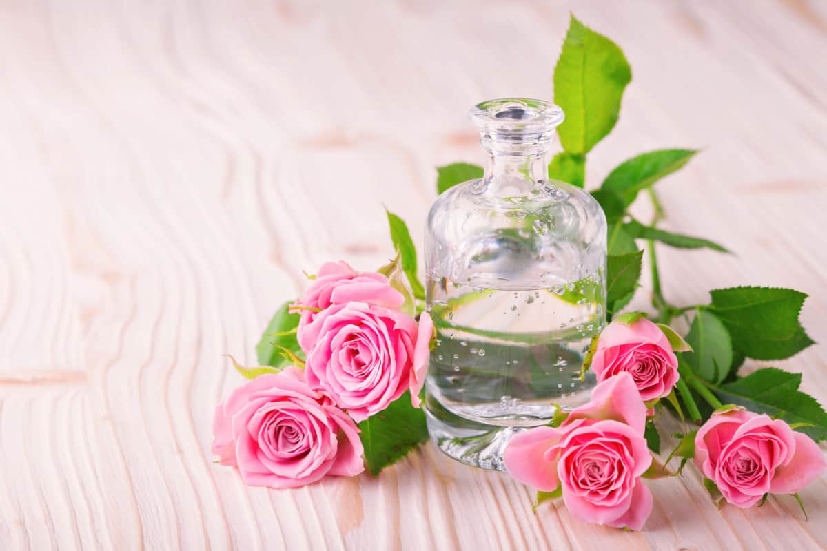تصویر 1 از فروش صادراتی عصاره خوراکی گل محمدی مایع گرید A