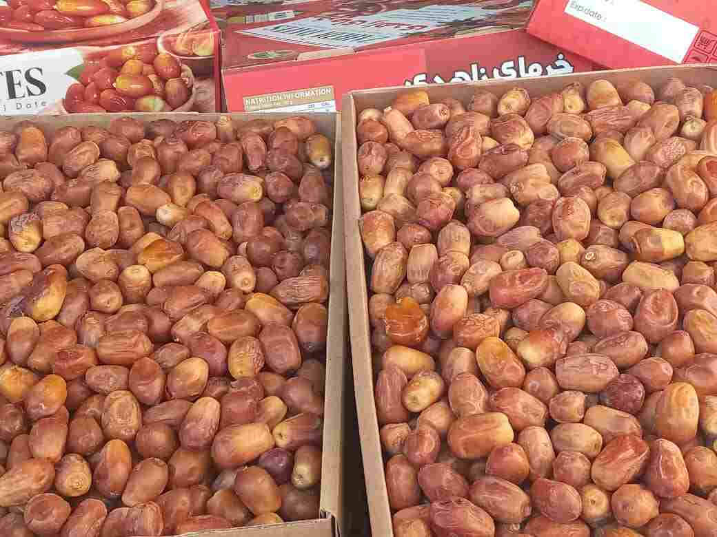 تصویر 1 از خرید خرمای زاهدی تازه و درجه یک