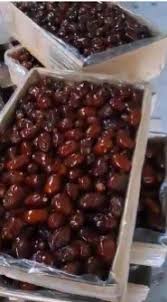 تصویر 2 از خرما کبکاب فروش عمده + خرید قیمت مناسب