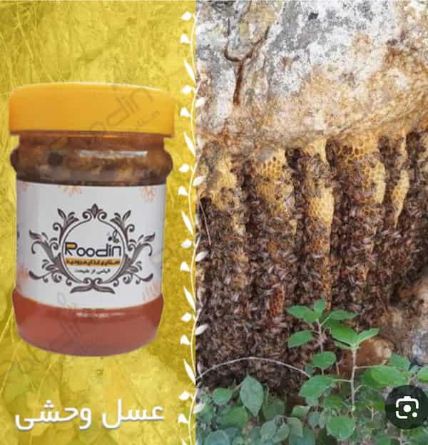 خرید نقدی عسل کوهی + تخفیف ویژه