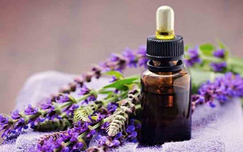 تصویر 1 از فروش صادراتی عصاره خوراکی گل گاوزبان مایع گرید A