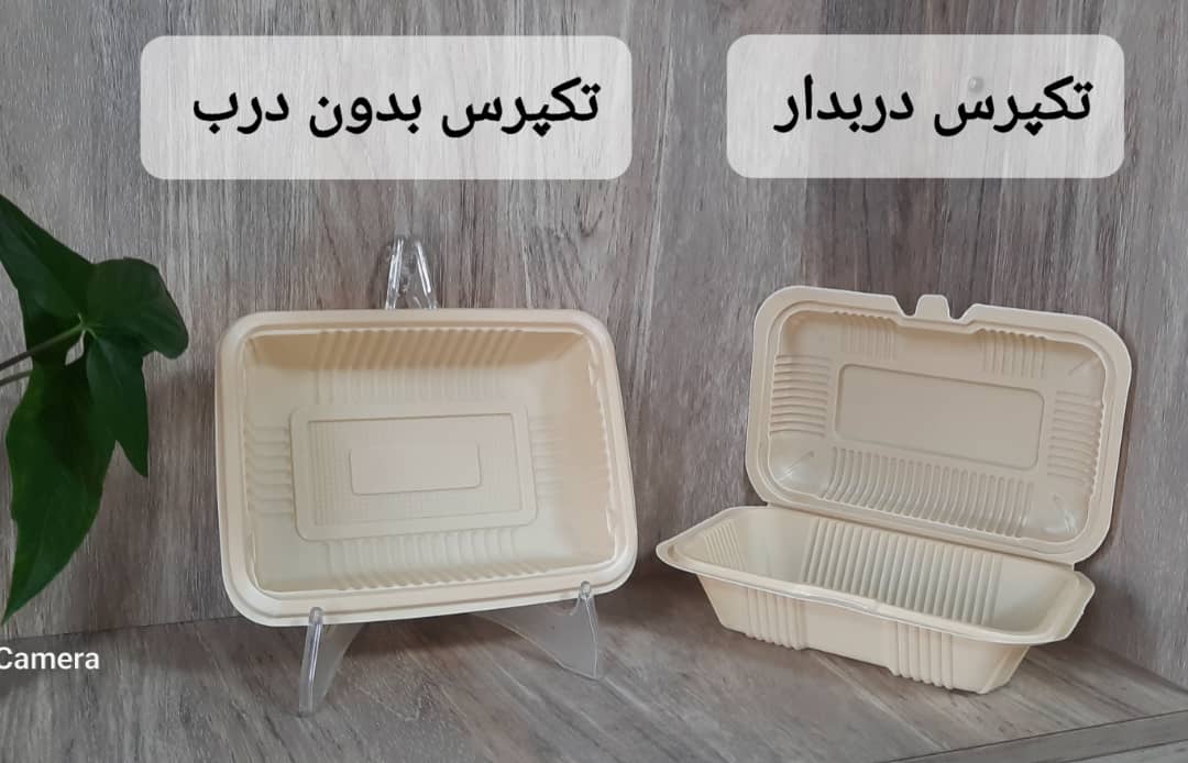 تصویر 6 از دیس چهارخانه کبابی با درب شفاف