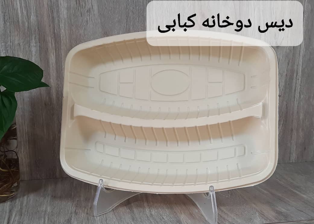تصویر 4 از دیس چهارخانه کبابی با درب شفاف