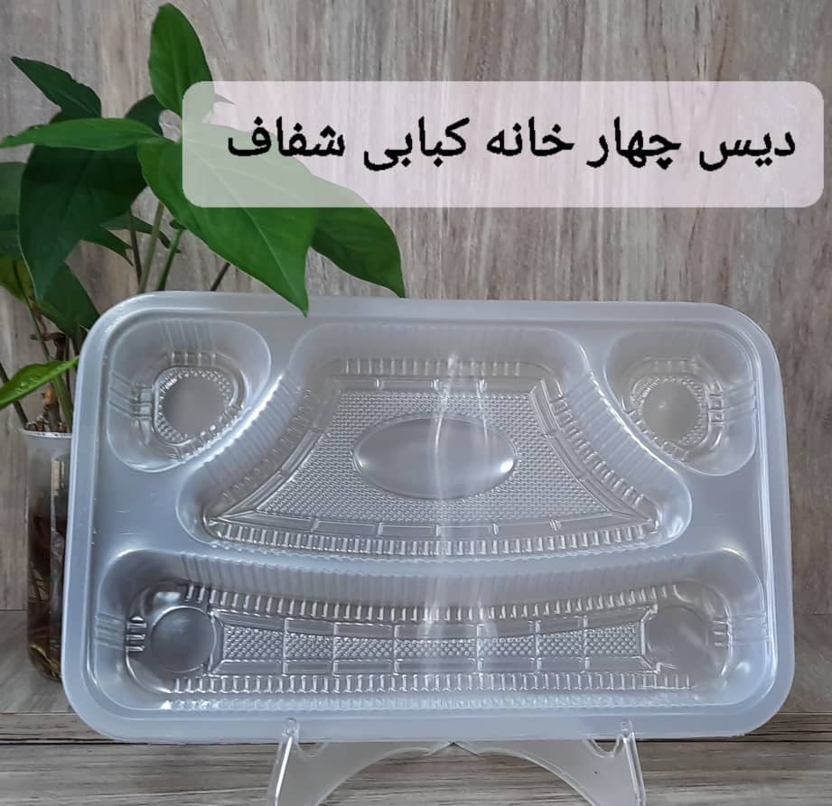 تصویر 2 از دیس چهارخانه کبابی با درب شفاف