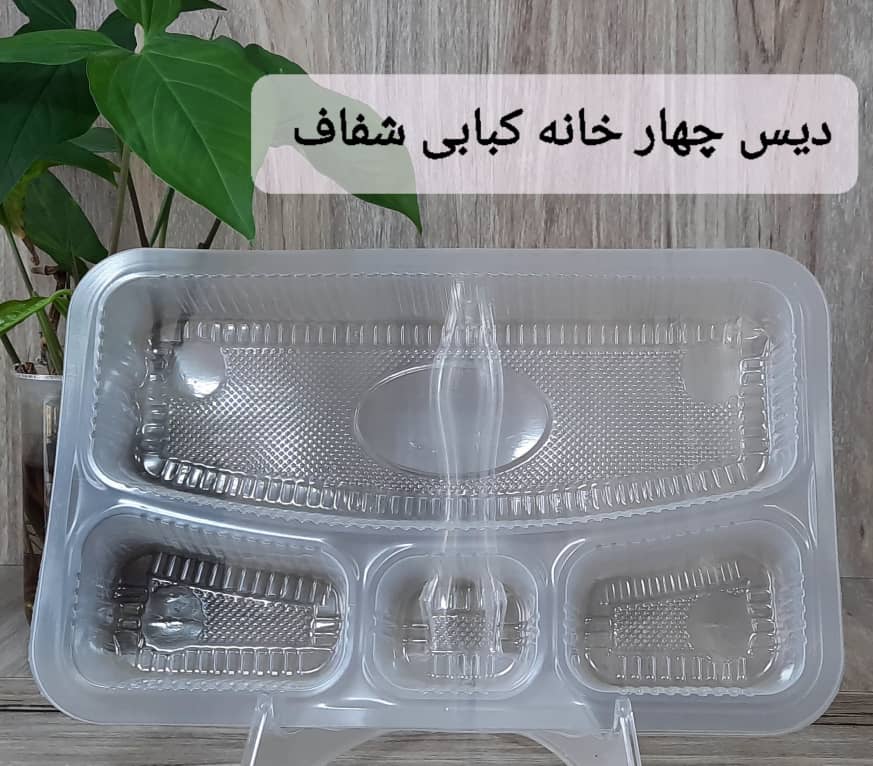 تصویر 1 از دیس چهارخانه کبابی با درب شفاف