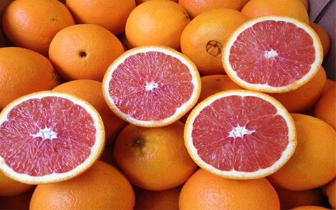 پرتقال کاراکارا محصولی جدید با قیمت مناسب