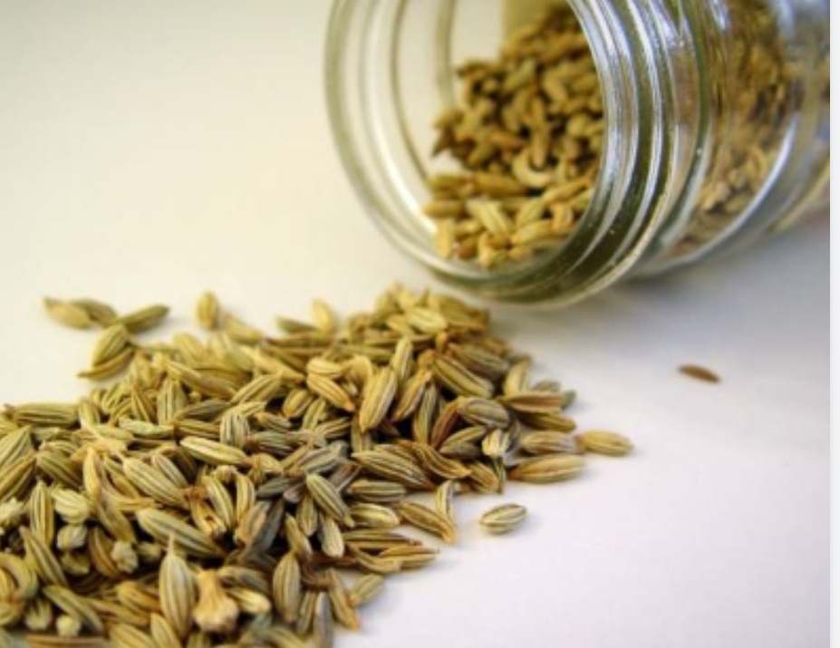 خرید ارزان زیره سبز صادراتی کرمان ارسال سریع
