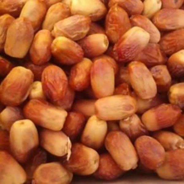 تصویر 1 از خرید انواع خرما زاهدی خشک فروش عمده صادراتی