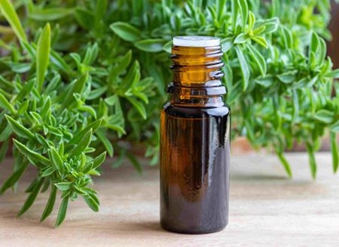 فروش اسانس مرزه خوزستانی طبیعی گرید A++