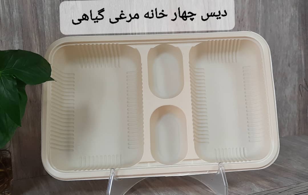تصویر 4 از دیس یکبار مصرف سه خانه گیاهی قیمت