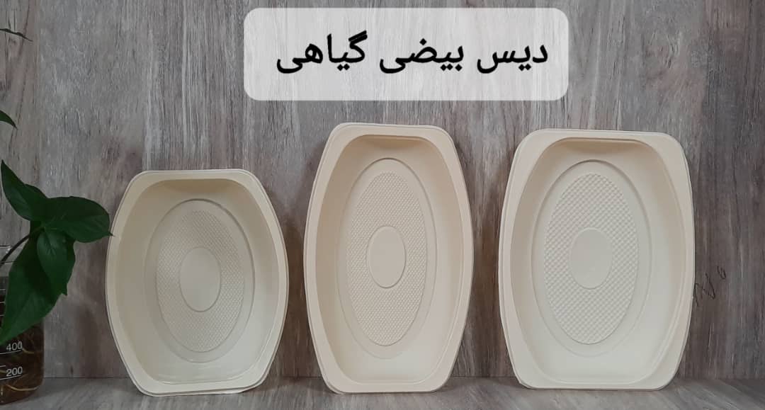تصویر 5 از دیس یکبار مصرف سه خانه گیاهی قیمت