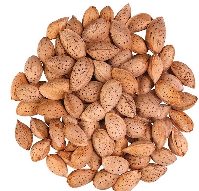 تصویر 5 از مغز بادام سنگی سوپر با قیمت به صرفه