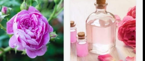 تصویر 4 از گلاب دو آتیشه بسیار معطر صادراتی + گلاب دلخواه