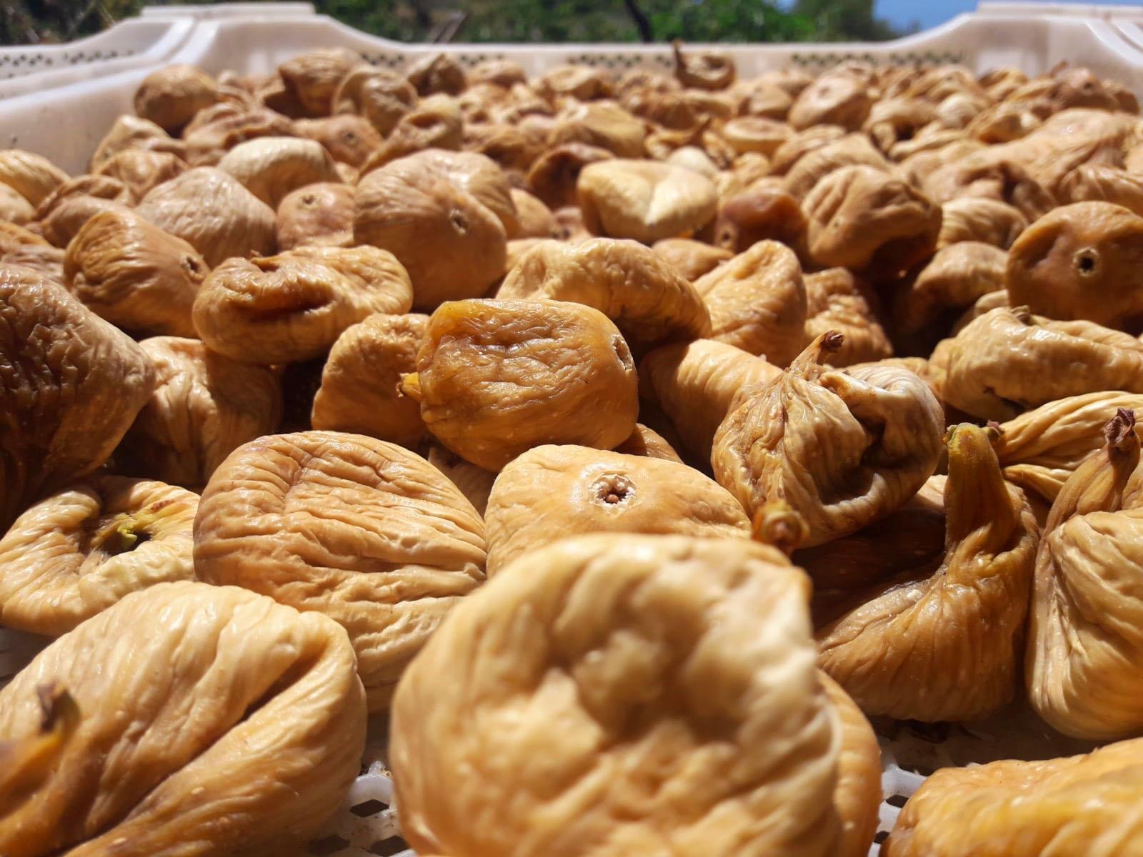 تصویر 3 از خرید انجیر گوشتی استهبان +  با قیمت به صرفه