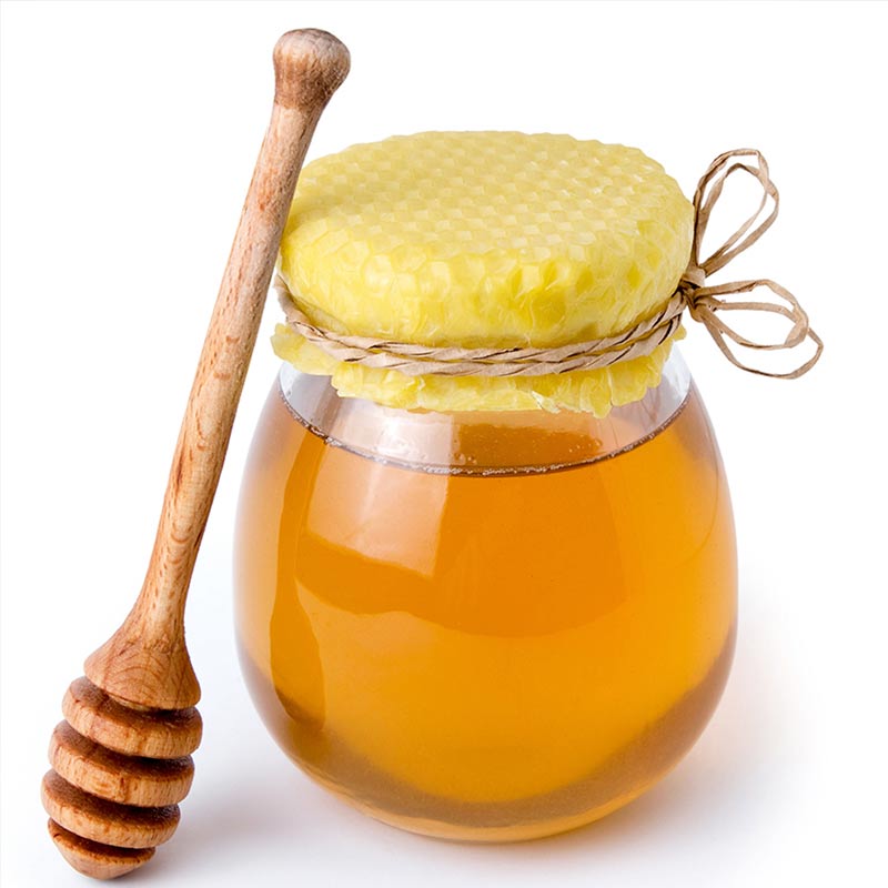 قیمت عسل زنیان کوهی پت 450 گرمی + فروش عمده