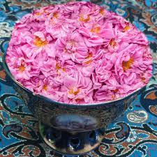 غنچه گل محمدی خرید