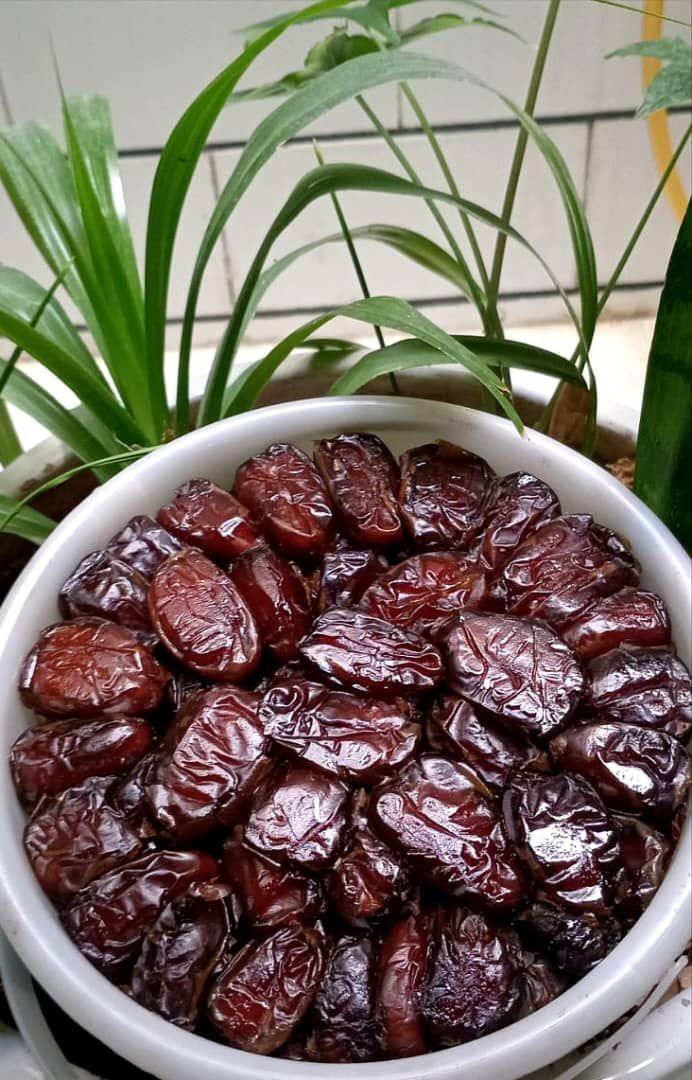 تصویر 2 از خرید عمده خرما کبکاب صادرتی + قیمت باور نکردنی