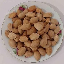 تصویر 3 از فروش بادام سنگی فارس + قیمت استثنایی