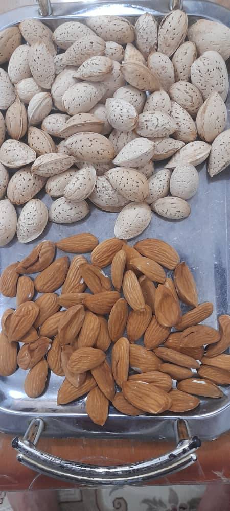 تصویر 1 از فروش بادام سنگی فارس + قیمت استثنایی