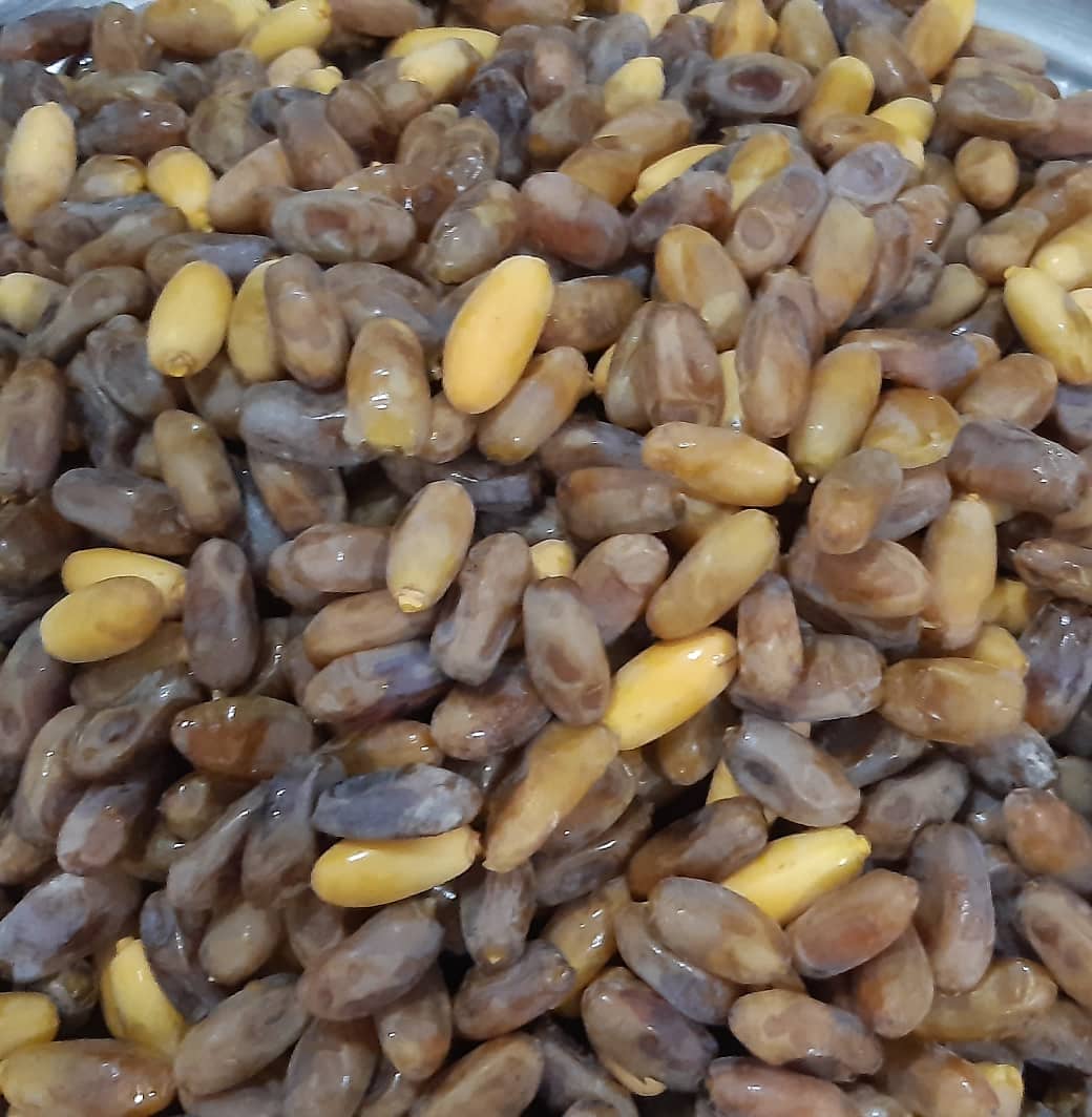 رطب شاهانی