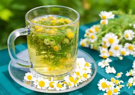 بابونه خشک صادراتی + ضد التهاب، آرامش‌ بخش طبیعی